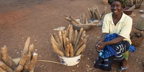 Дианда, Рафаэль и проект Президиа ямса Арболле